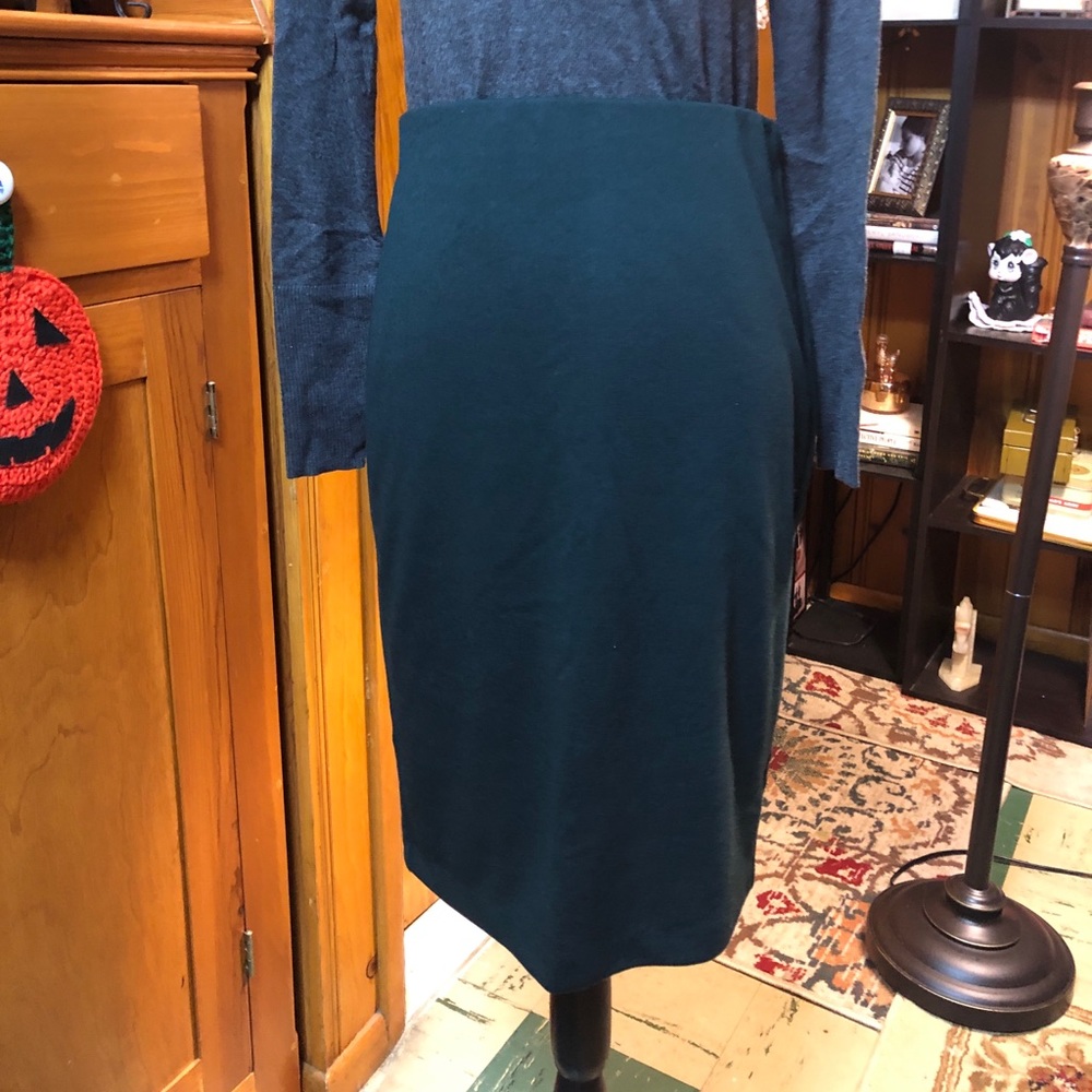Blueberry-Green Skirt by Premise